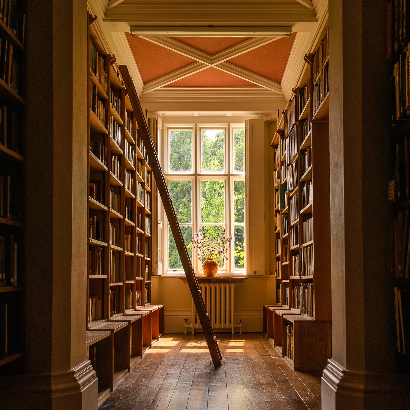 Library Bookshelf - Stock